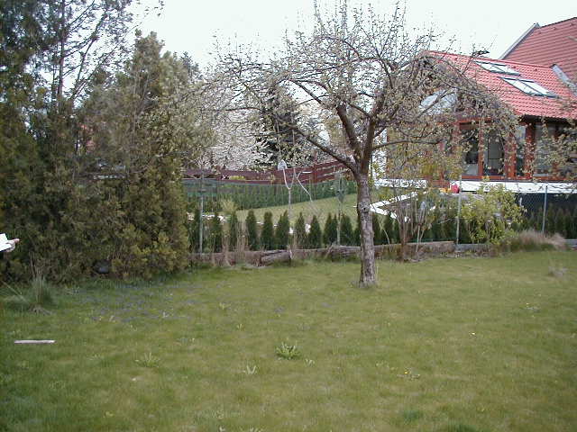 Garten vor Hausbau